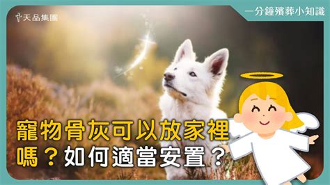 寵物骨灰放家裡好嗎|【天品生命小知識】寵物骨灰可以放家裡嗎？如何適當。